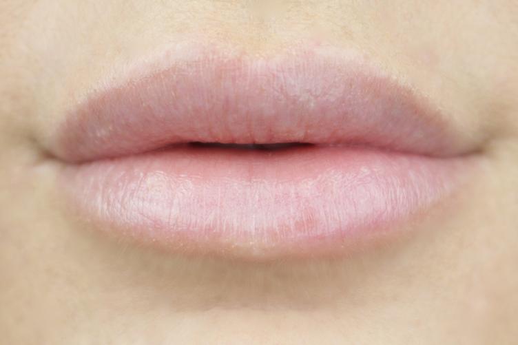 The Beauty Archive Wedding Cake lip balm 5 8g 400 The Beauty Archive Wedding Cake lip balm 5 8g 400